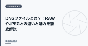 DNGファイルとは？ : RAWやJPEGとの違いと魅力を徹底解説